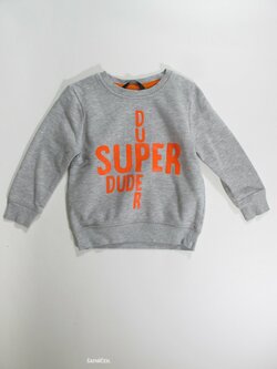 Mikina  pro kluky  šedá  secondhand