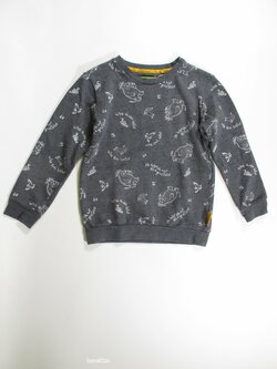 Mikina pro kluky s obrázky secondhand Mikina pro kluky s obrázky secondhand