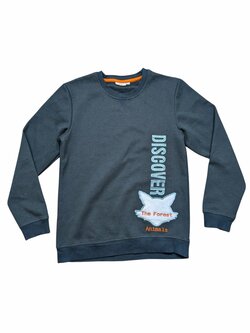 zelená mikina pro kluky zelená mikina pro kluky