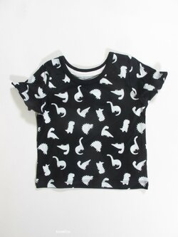 Triko pro kluky s dinosaury  secondhand