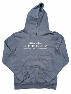 Šedá mikina s nápisem pro holky secondhand Hershey Šedá mikina s nápisem pro holky secondhand Hershey