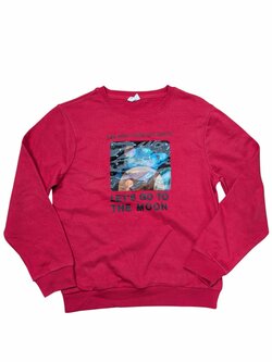 Červená mikina s obrázkem pro kluky secondhand Kids Červená mikina s obrázkem pro kluky secondhand Kids