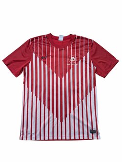 pánský fotbalový dres MTV Stuttgart Georgis 37