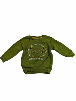 Zelená mikina s ježečkem pro kluky secondhand Zelená mikina s ježečkem pro kluky secondhand