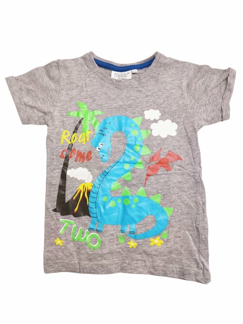 Šedé triko s obrázkem pro kluky secondhand minikidz