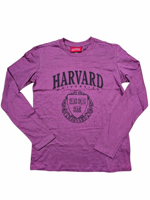 Tmavě fialové triko Harvard secondhand Sinsay