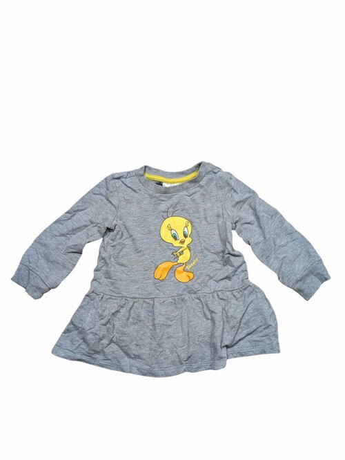 Šedé šaty s obrázkem pro holky secondhand Looney Tunes