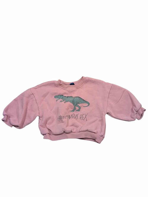Růžová mikina s dinosaurem pro holky secondhand Jessyca Kids